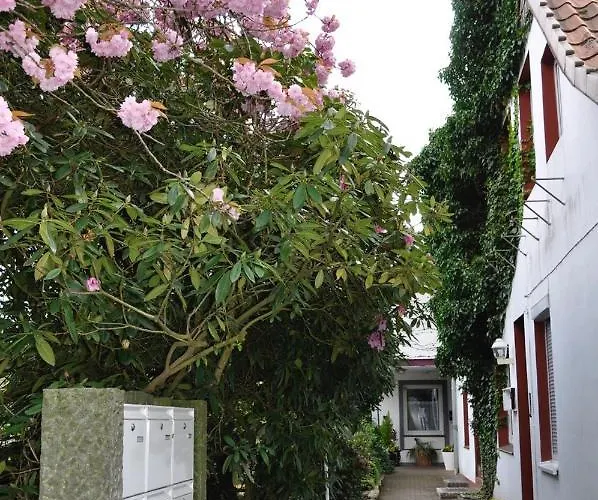 Suedpark Lejlighed *